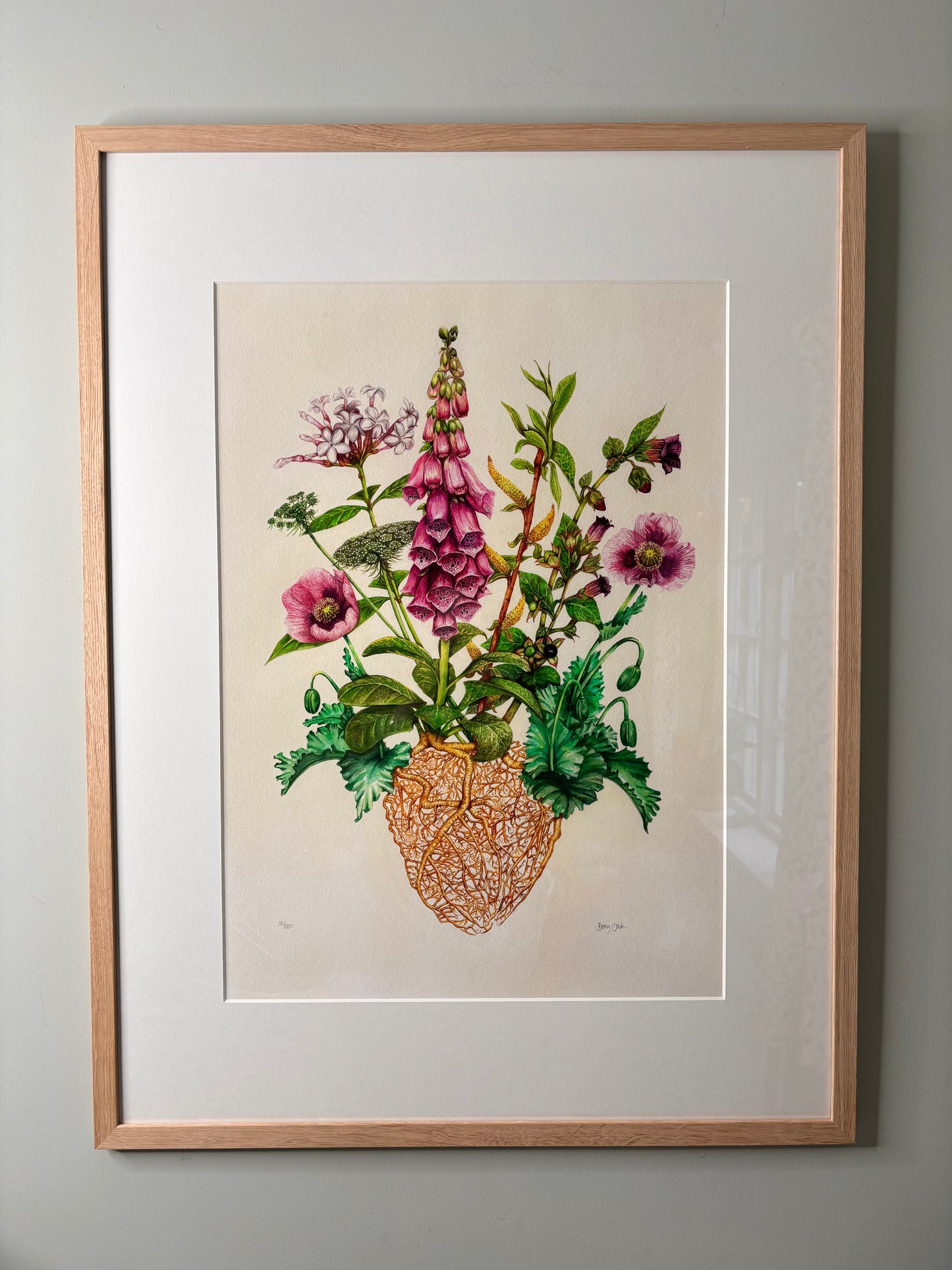 The Medicinal Heart Limited Edition Print A2