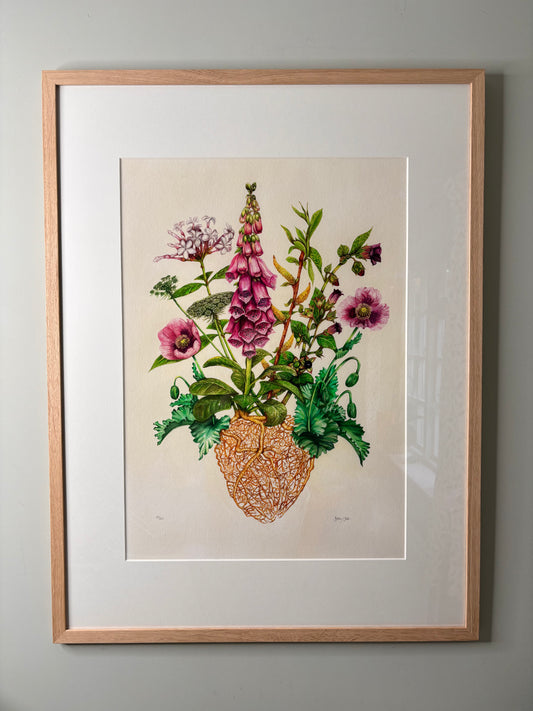 The Medicinal Heart Limited Edition Print A2