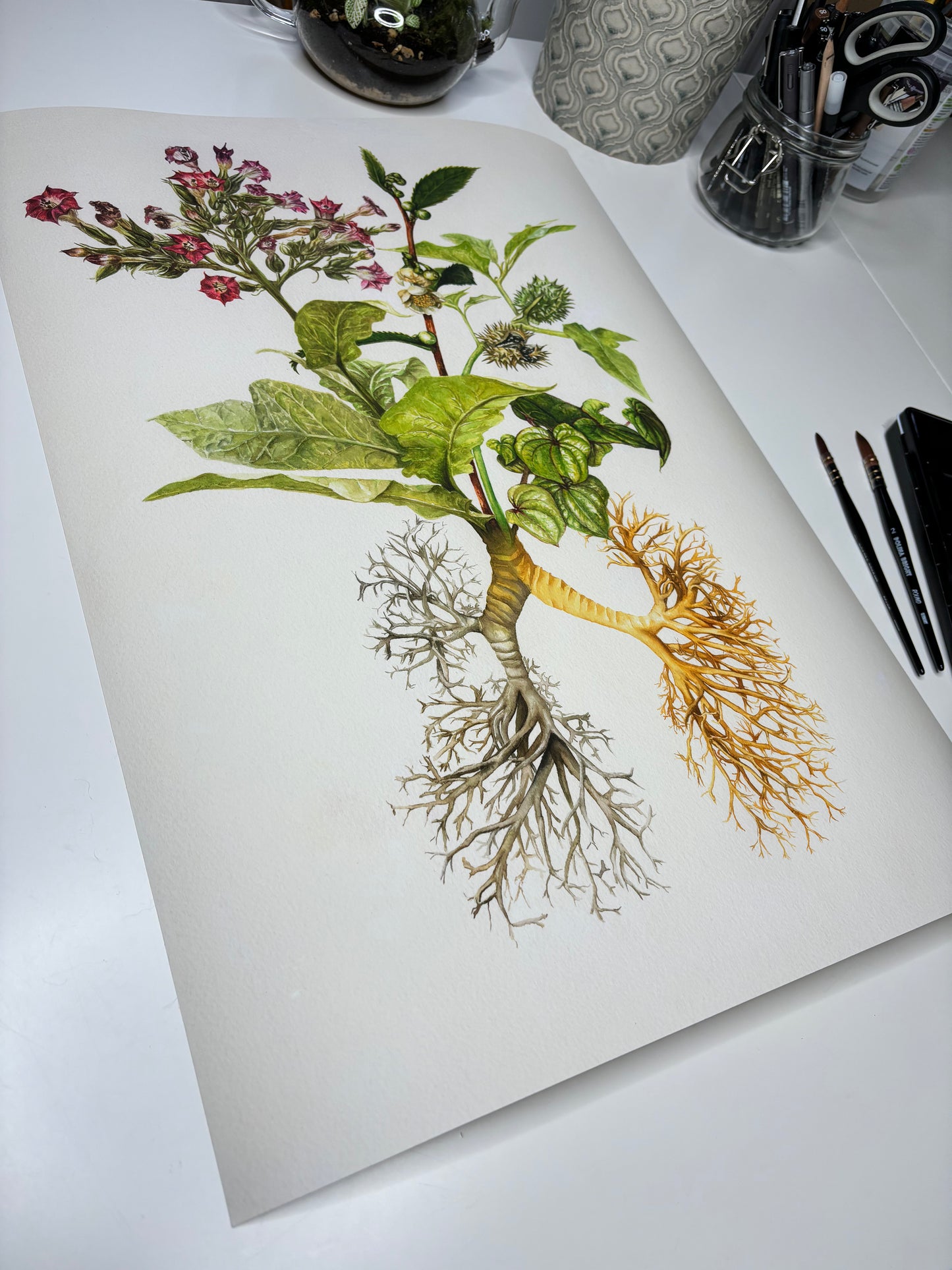 The Medicinal Lungs Limited Edition Print A2