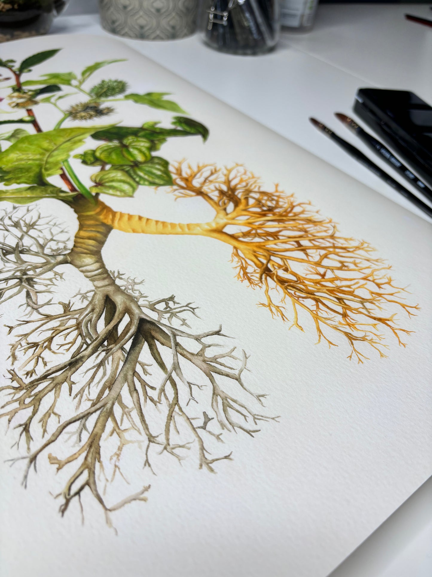 The Medicinal Lungs Limited Edition Print A2