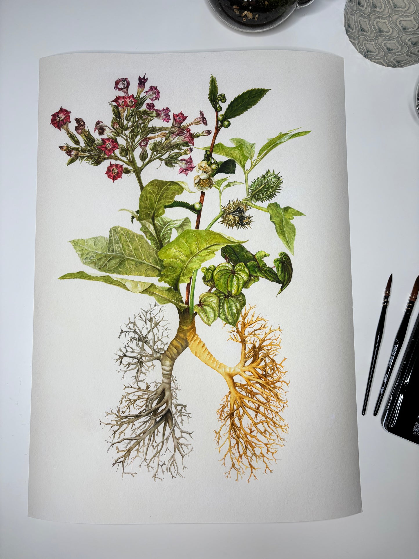 The Medicinal Lungs Limited Edition Print A2