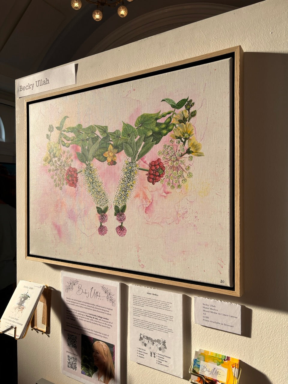 Mater Medica Limited Edition Prints