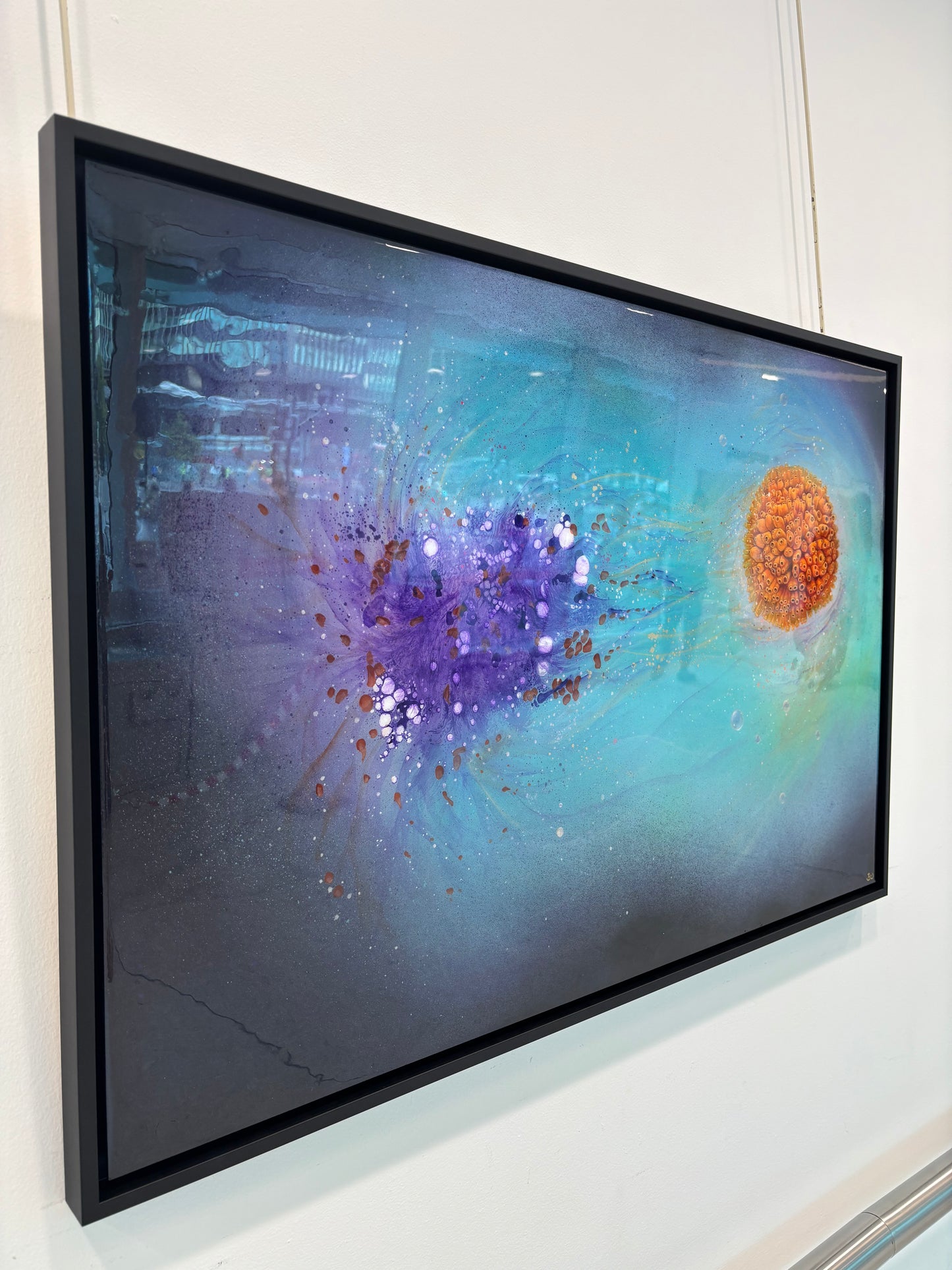 Hidden Beauty Limited Edition Prints