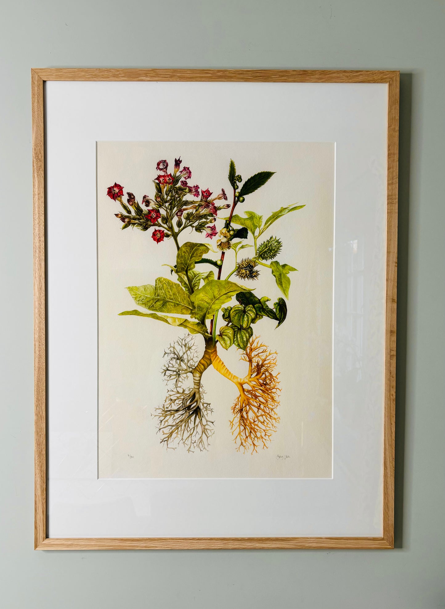 The Medicinal Lungs Limited Edition Print A2