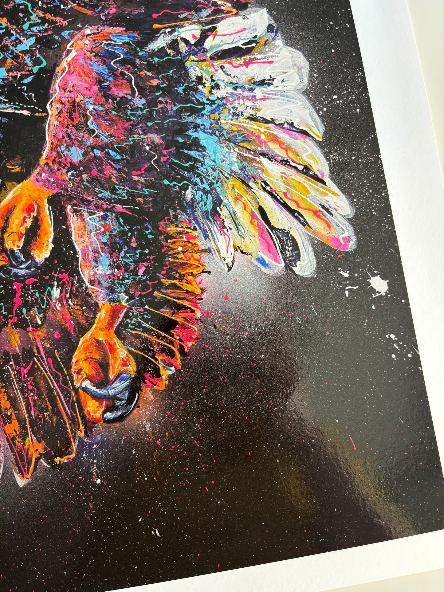 Soar Limited Edition Prints