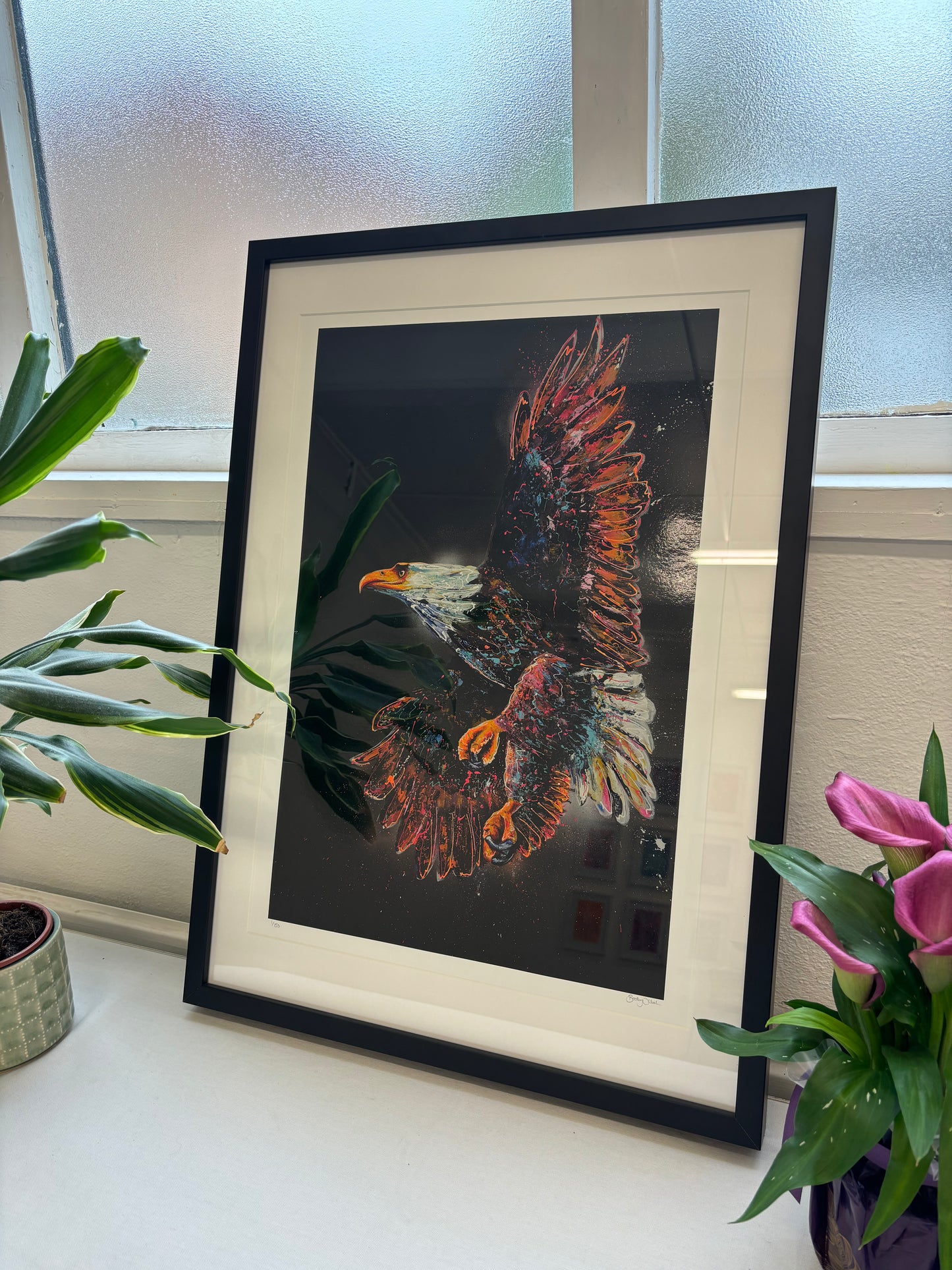 Soar Limited Edition Prints