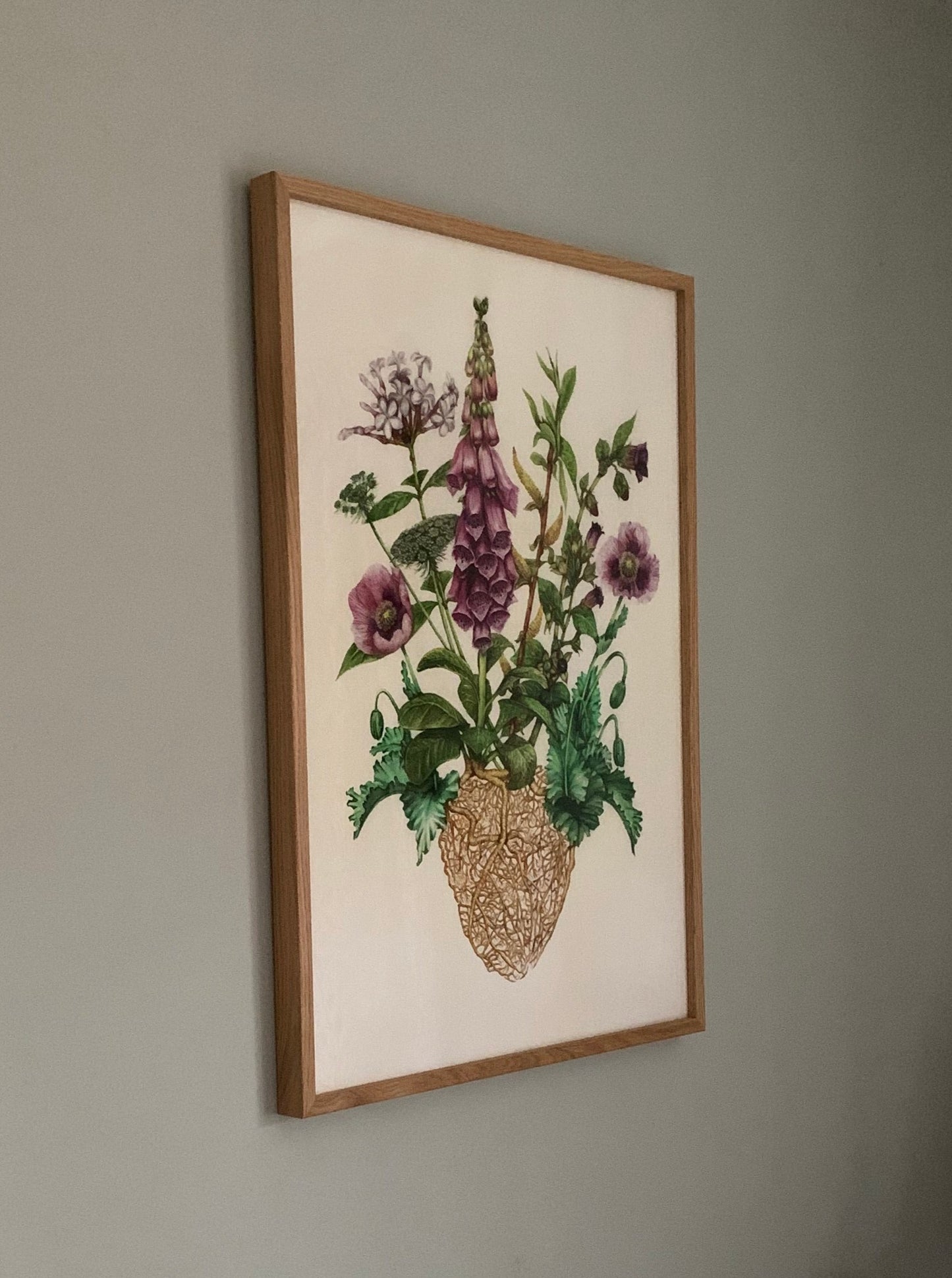 The Medicinal Heart Limited Edition Print A2