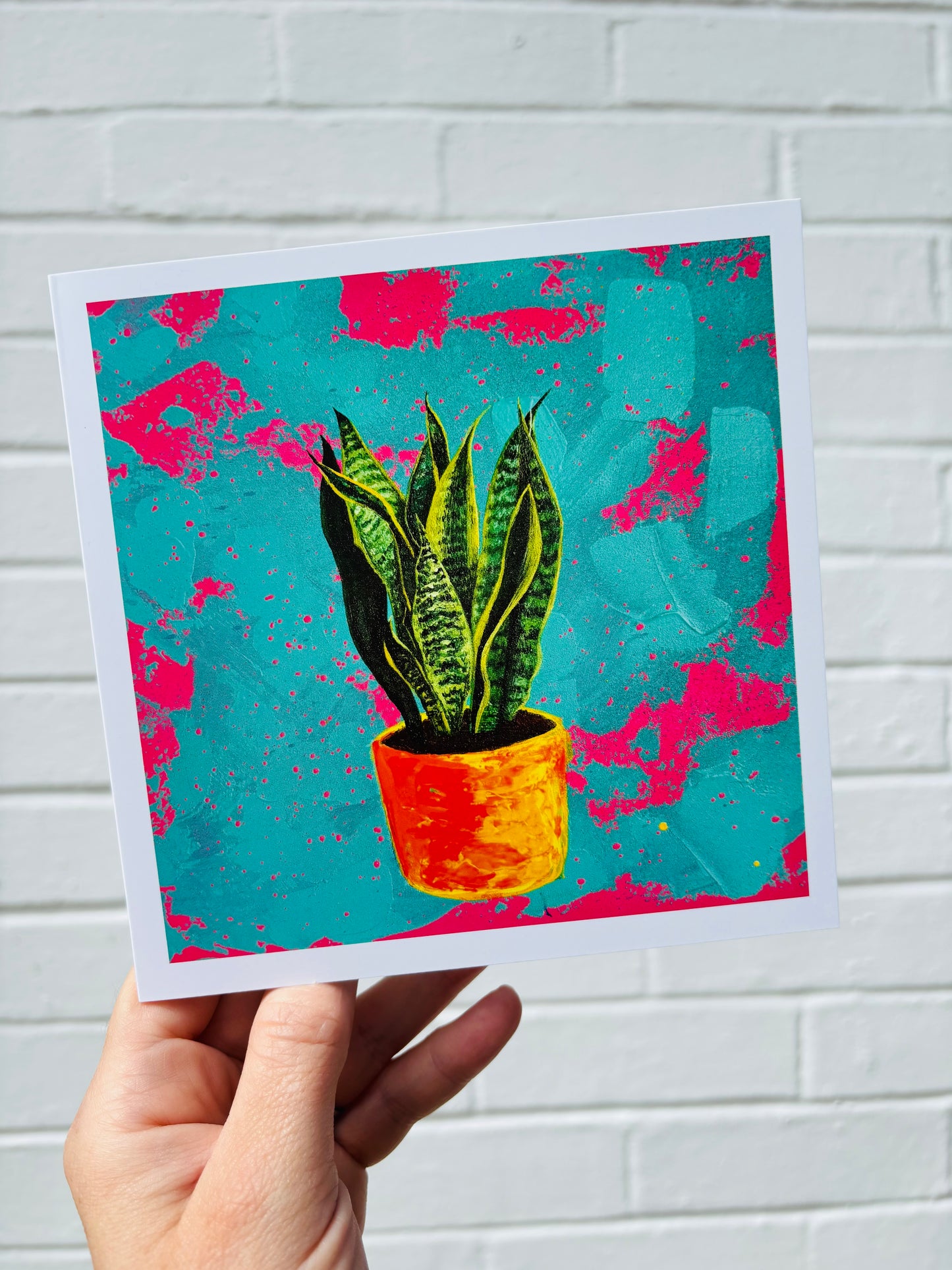 Greetings Card - Snake Plant