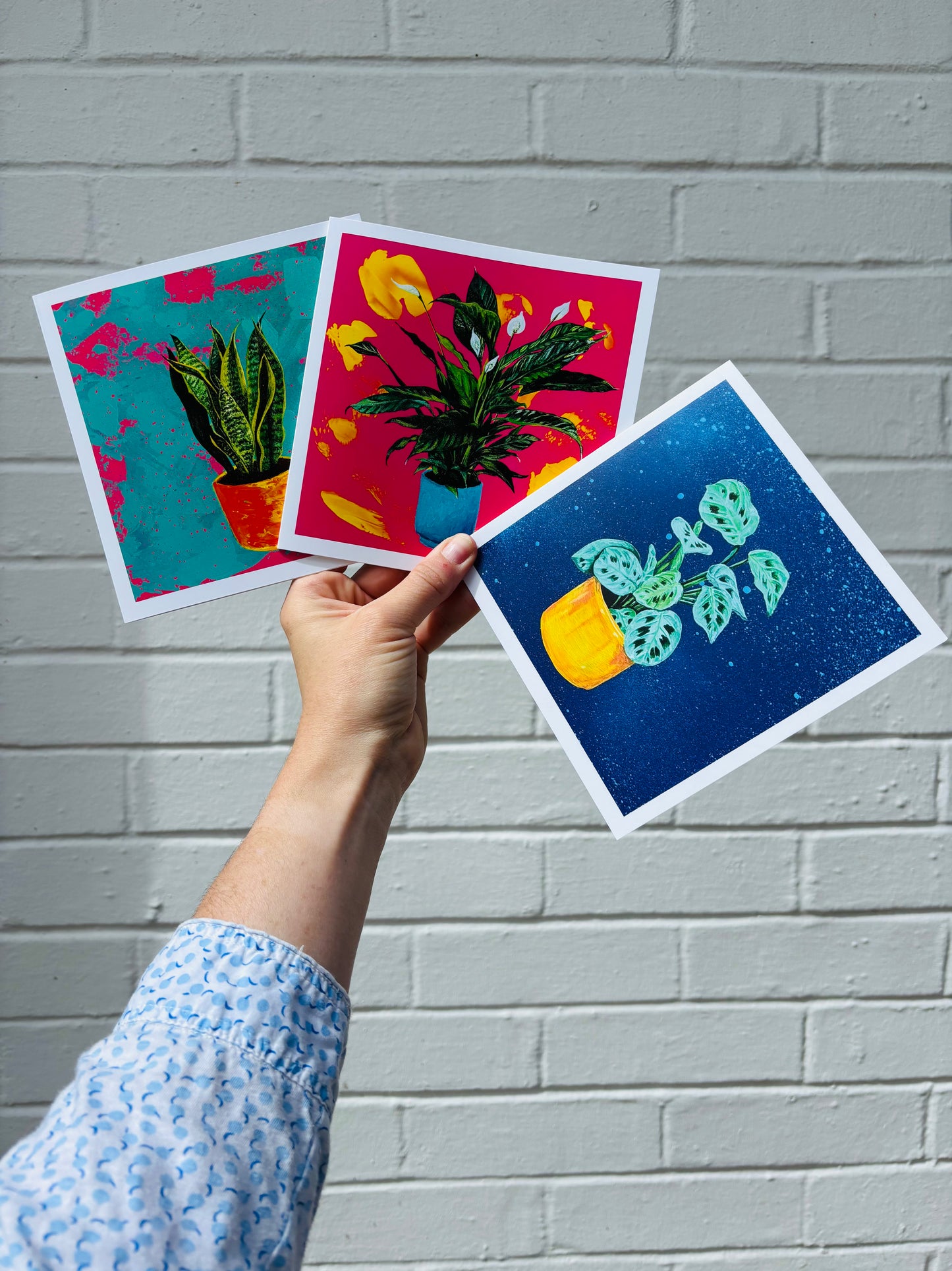 Greetings Card - Snake Plant