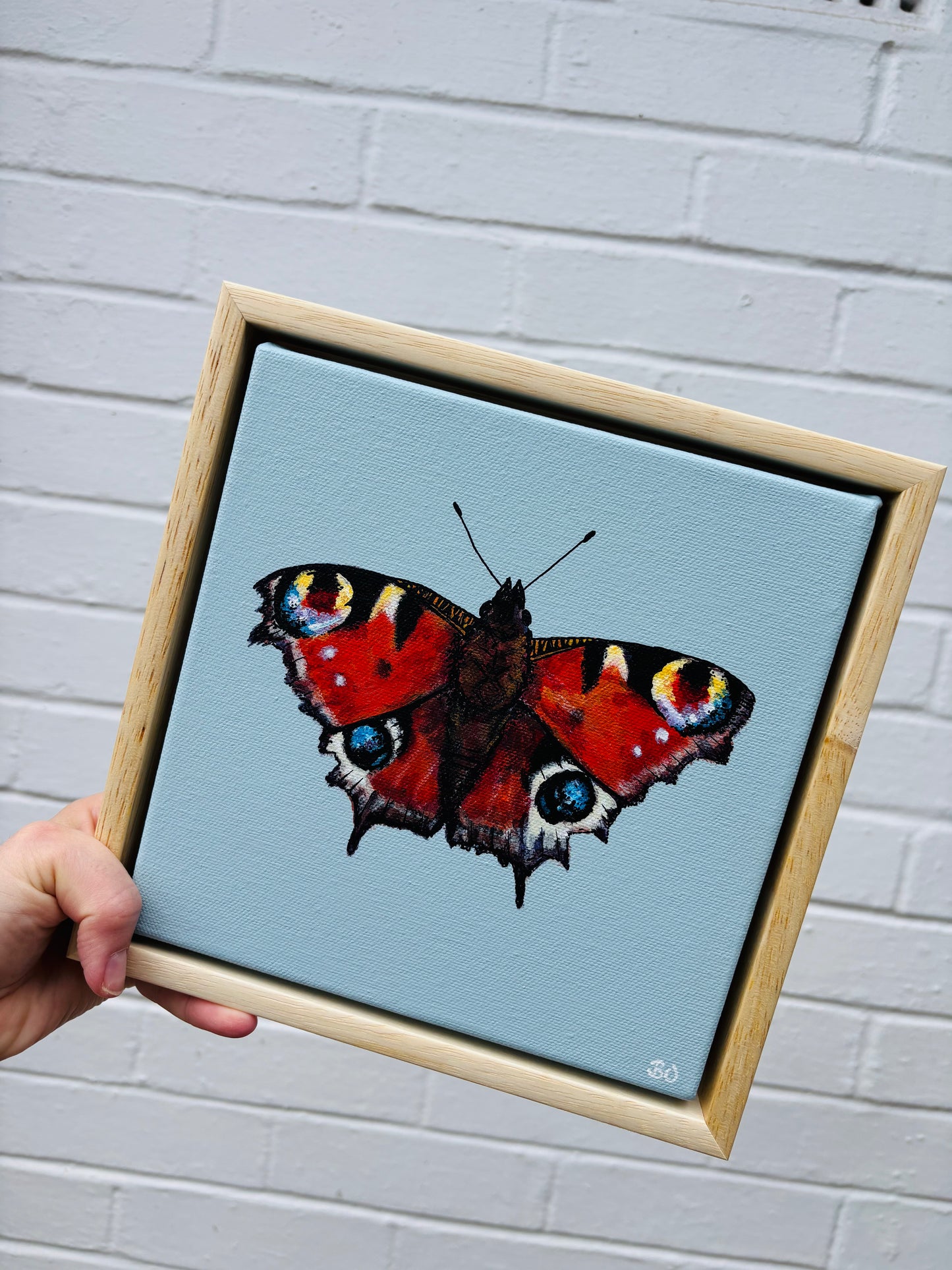 Hitchin original artwork peacock butterfly affordable mini pine frame soft pastel blue background country chic