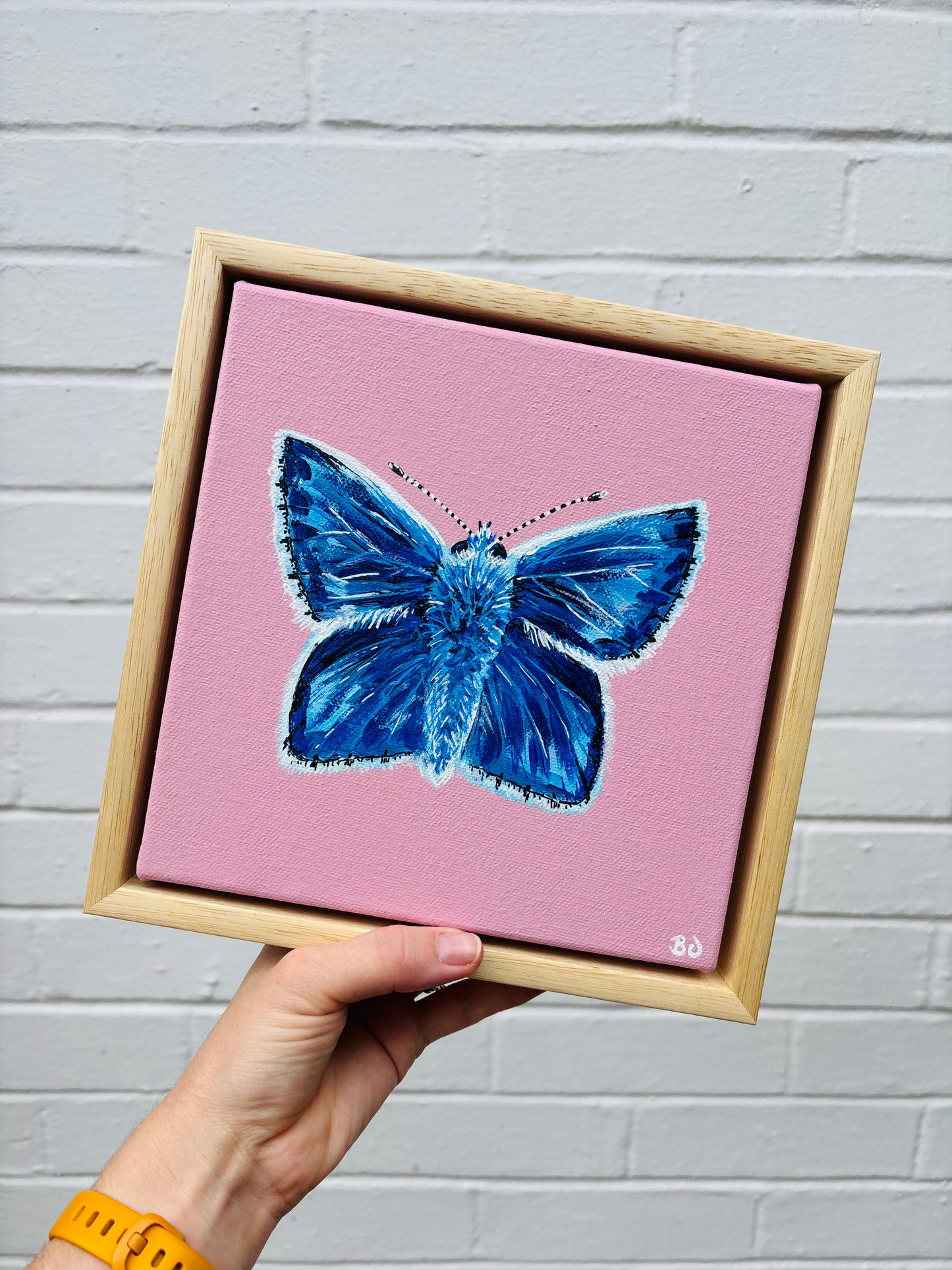 A common blue butterfly with soft white fluffy details painted on a soft pink mini canvas in a wooden floater frame. Hitchin Letchworth Artist. Affordable original art.