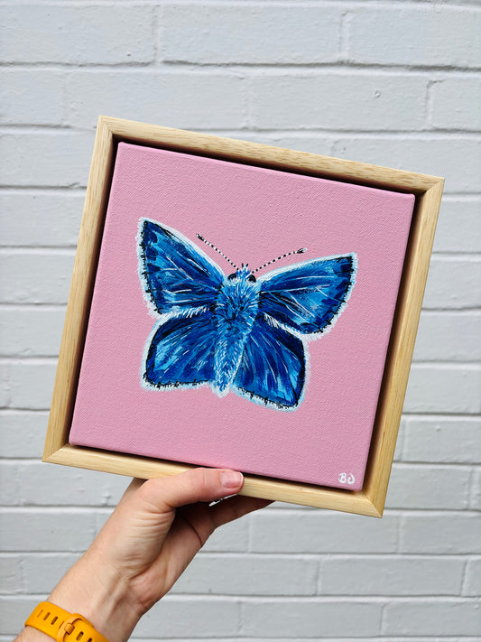 A common blue butterfly with soft white fluffy details painted on a soft pink mini canvas in a wooden floater frame. Hitchin Letchworth Artist. Affordable original art.
