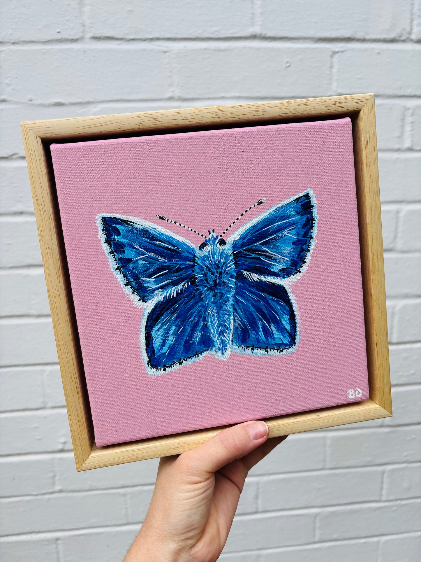 Beautiful Blue
