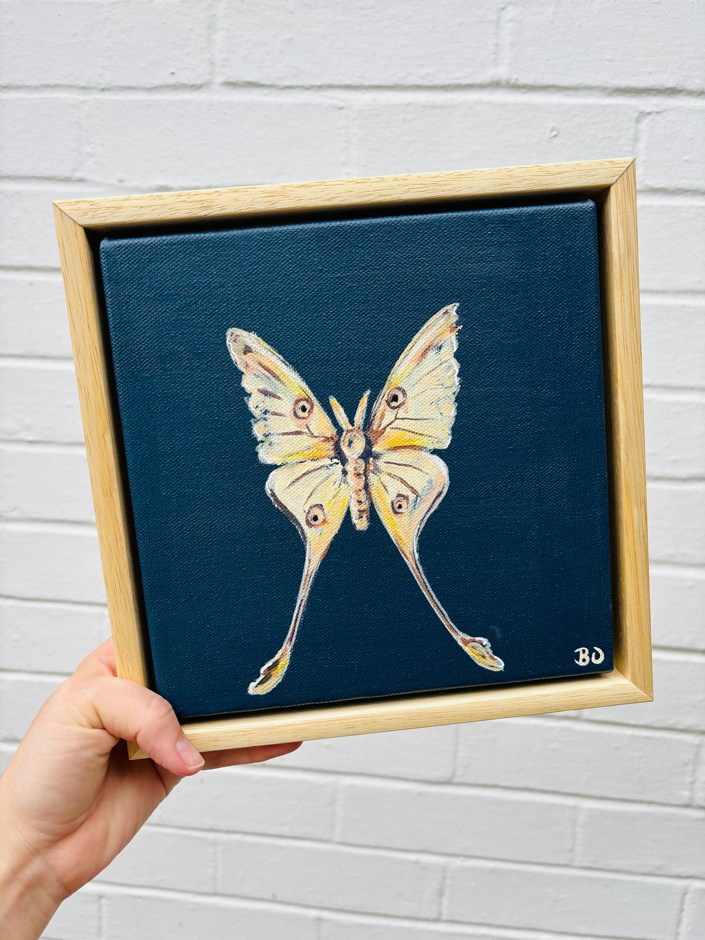 A soft creamy transparent rustic butterfly on a dark blue canvas in a pine floater frame. Rustic, chic, charm, country cottage decor. Hitchin Letchworth artist. Afforable original art.