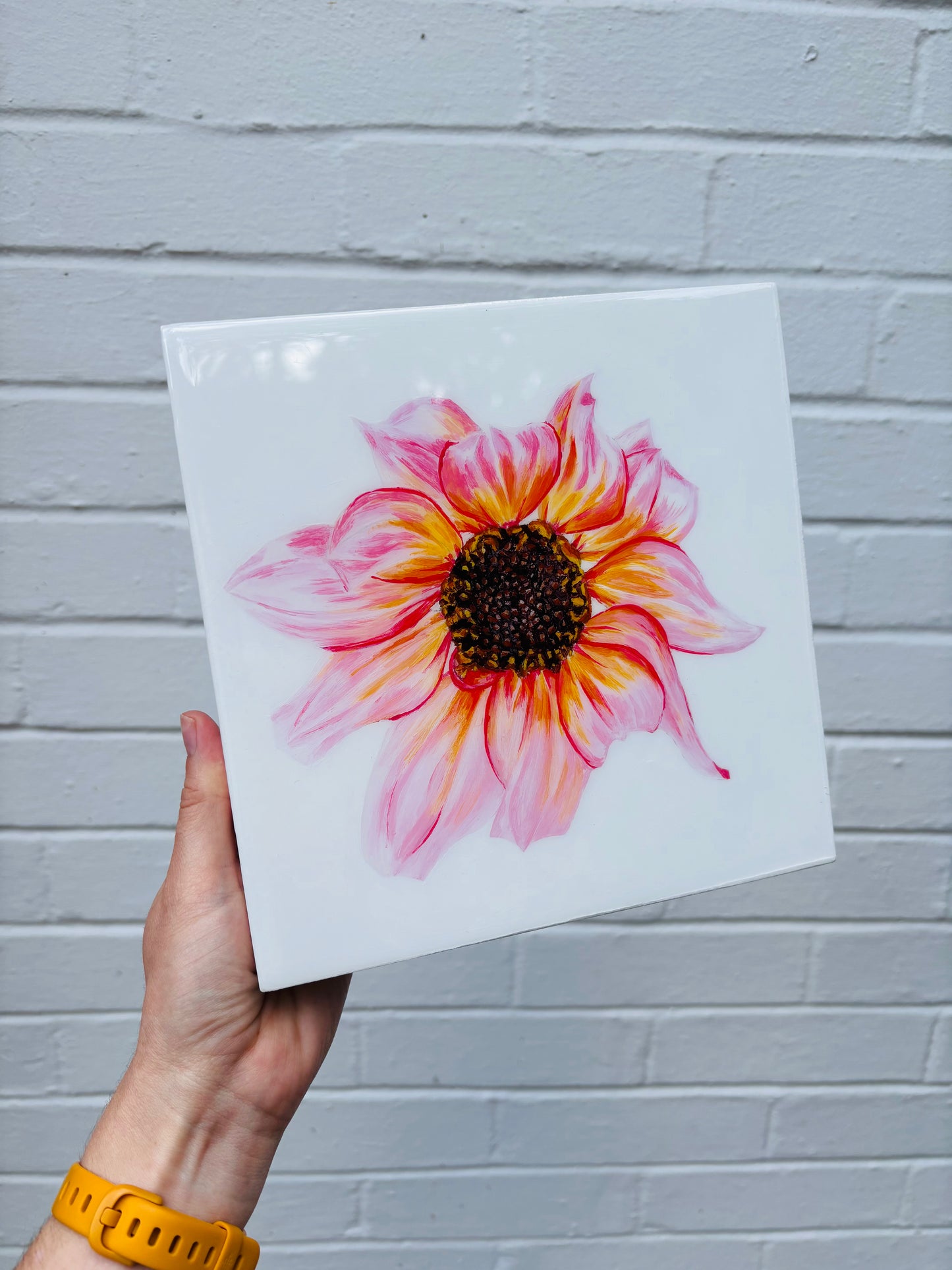 Dahlia Glow
