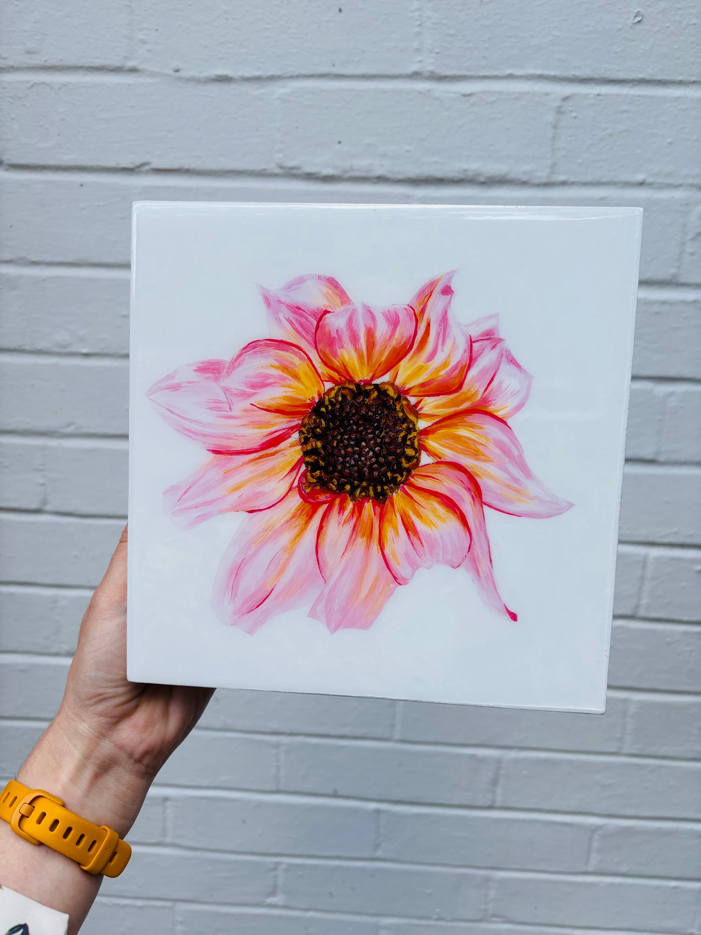 Dahlia Glow