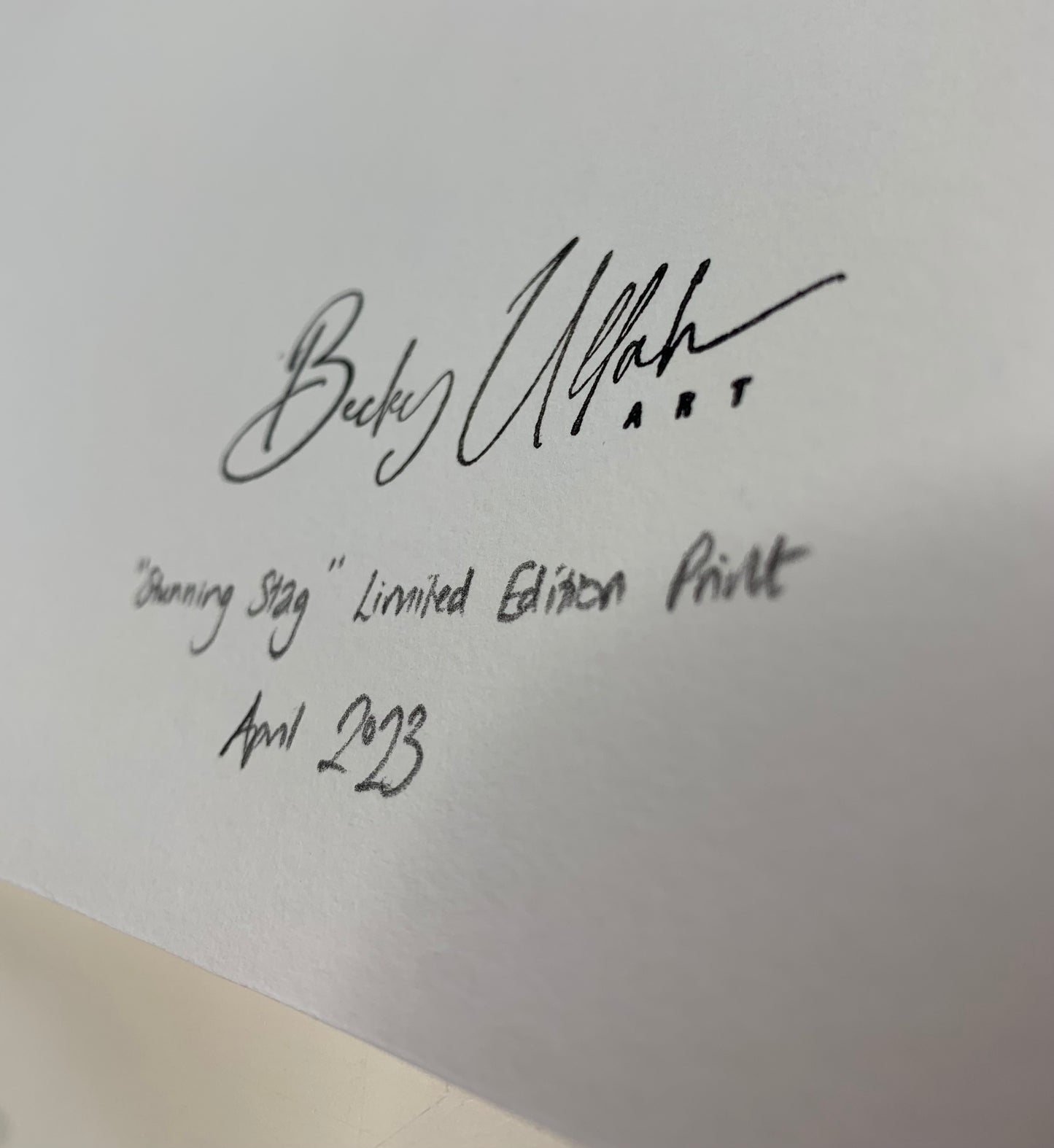 Stunning Stag Limited Edition Print