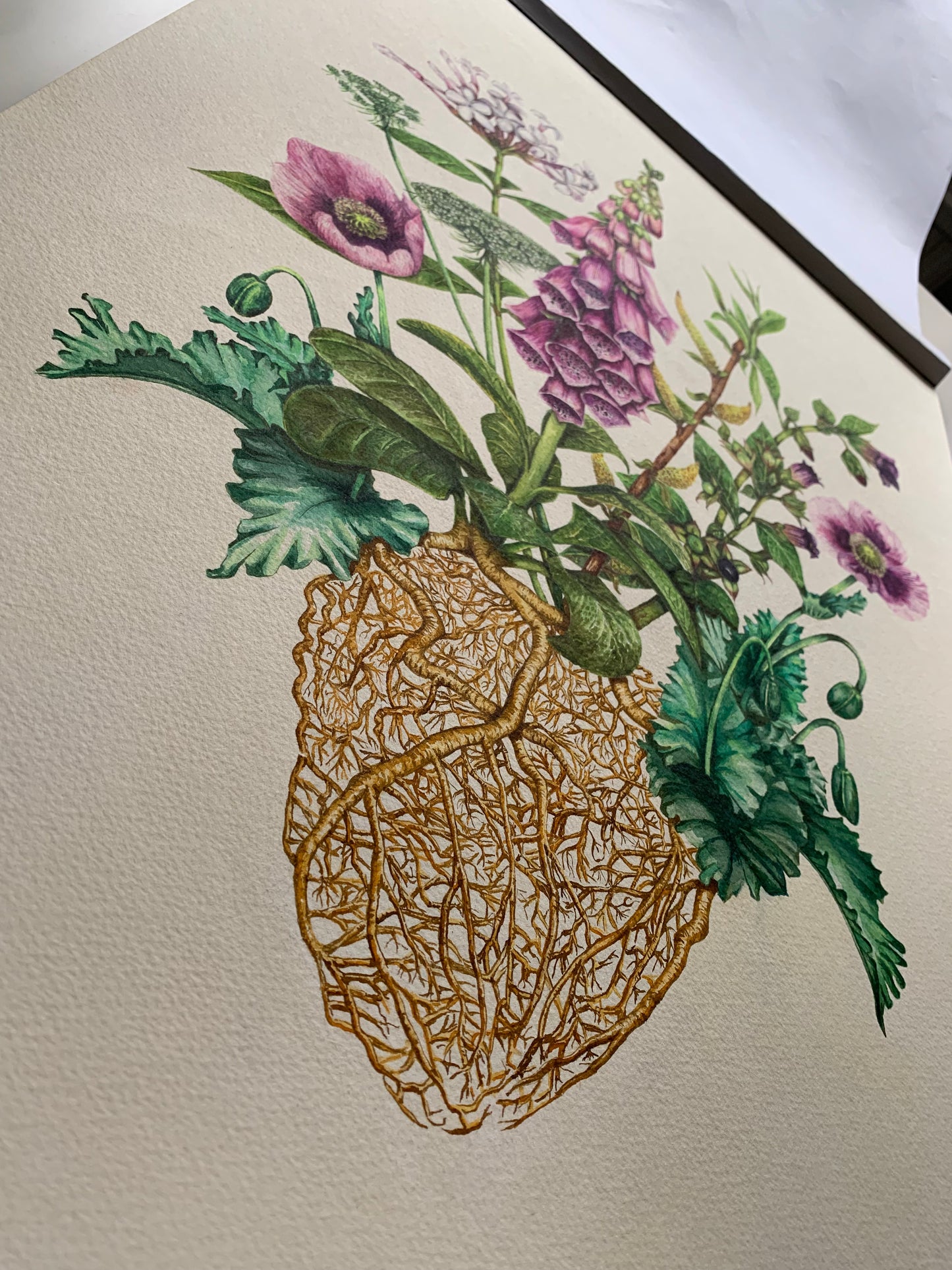 The Medicinal Heart Limited Edition Print A2