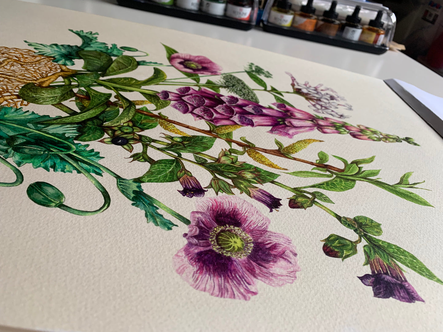 The Medicinal Heart Limited Edition Print A2