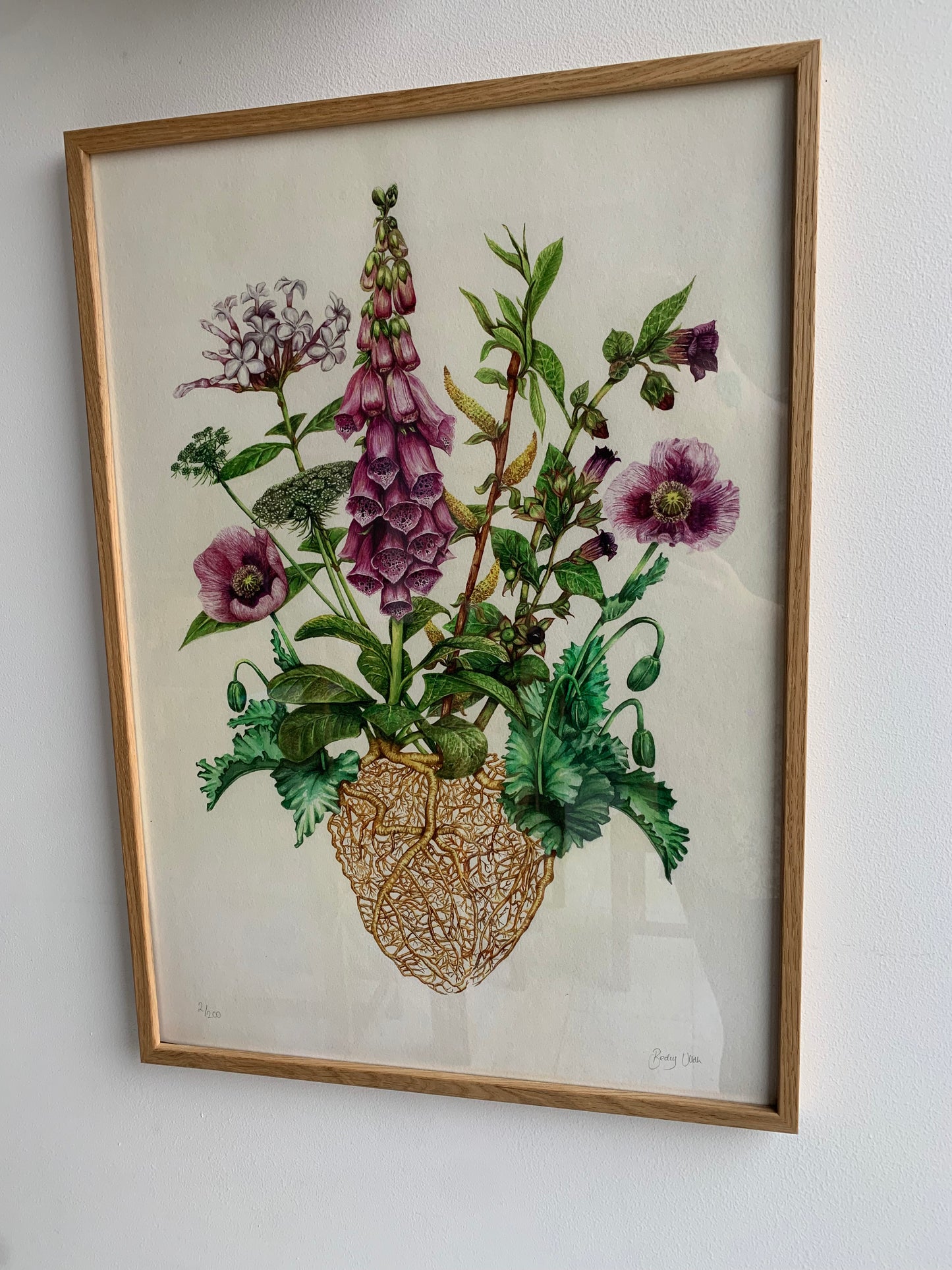 The Medicinal Heart Limited Edition Print A2