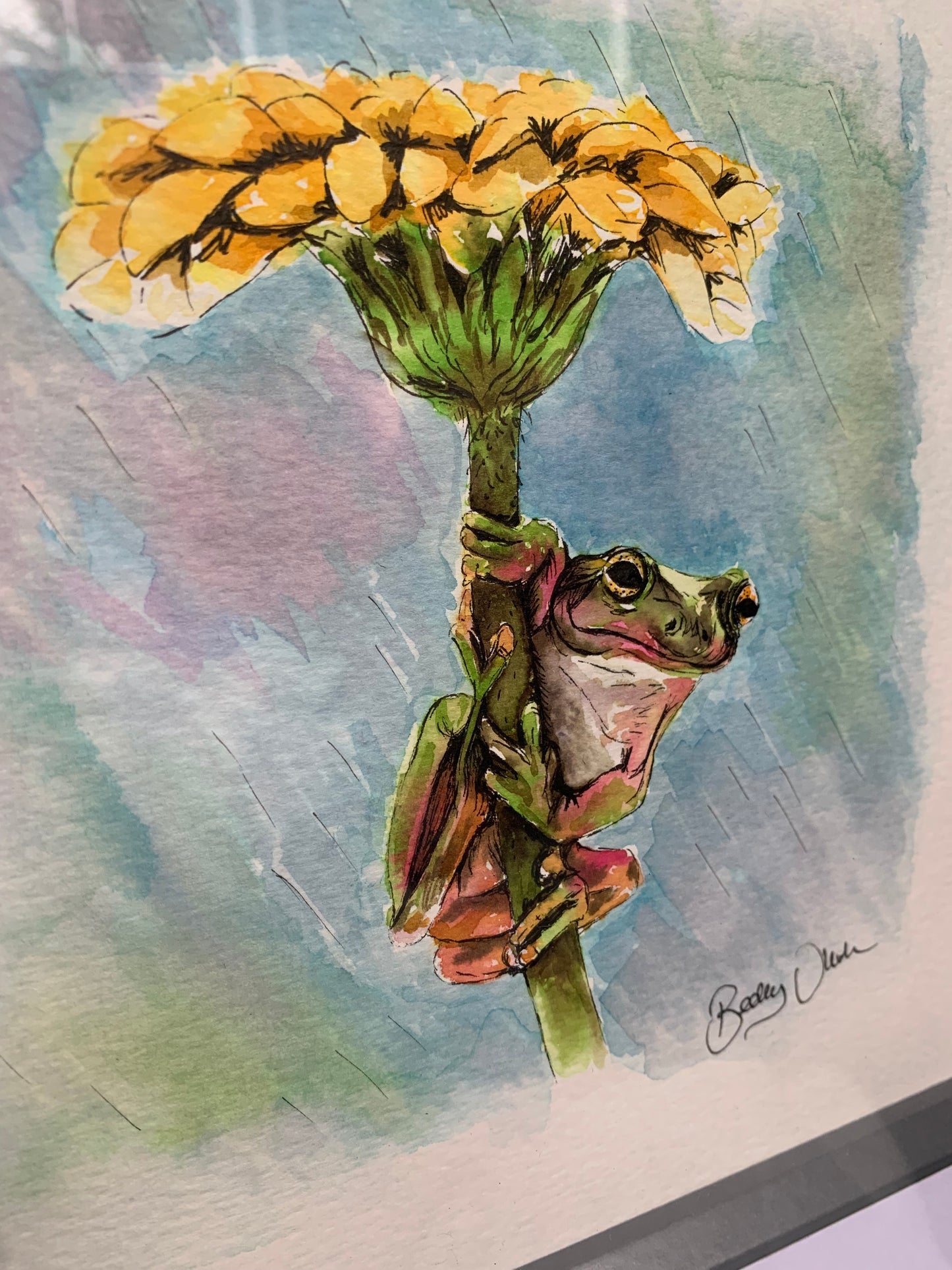 Framed Frog Gerberella Watercolour Original