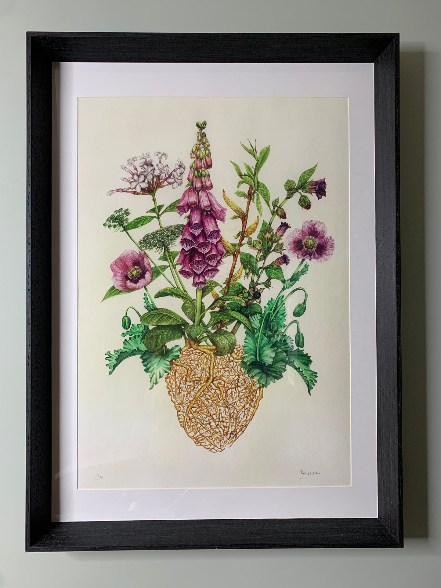 The Medicinal Heart Limited Edition Print A2
