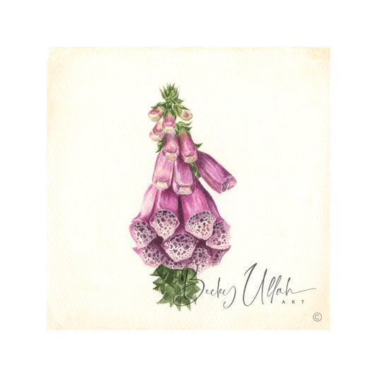 Foxgloves