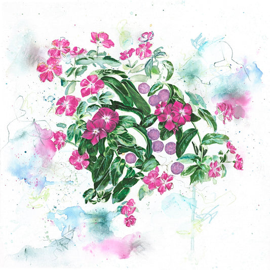 Hidden Miracle Limited Edition Prints