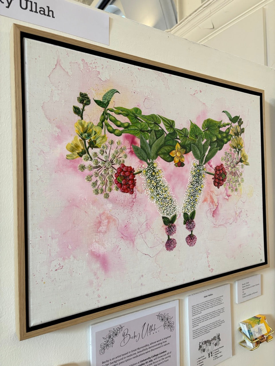 Mater Medica Limited Edition Prints