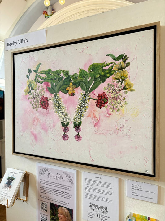 Mater Medica Limited Edition Prints