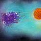 Hidden Beauty Limited Edition Prints