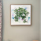 Hidden Promise Limited Edition Prints