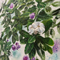 Hidden Promise Limited Edition Prints