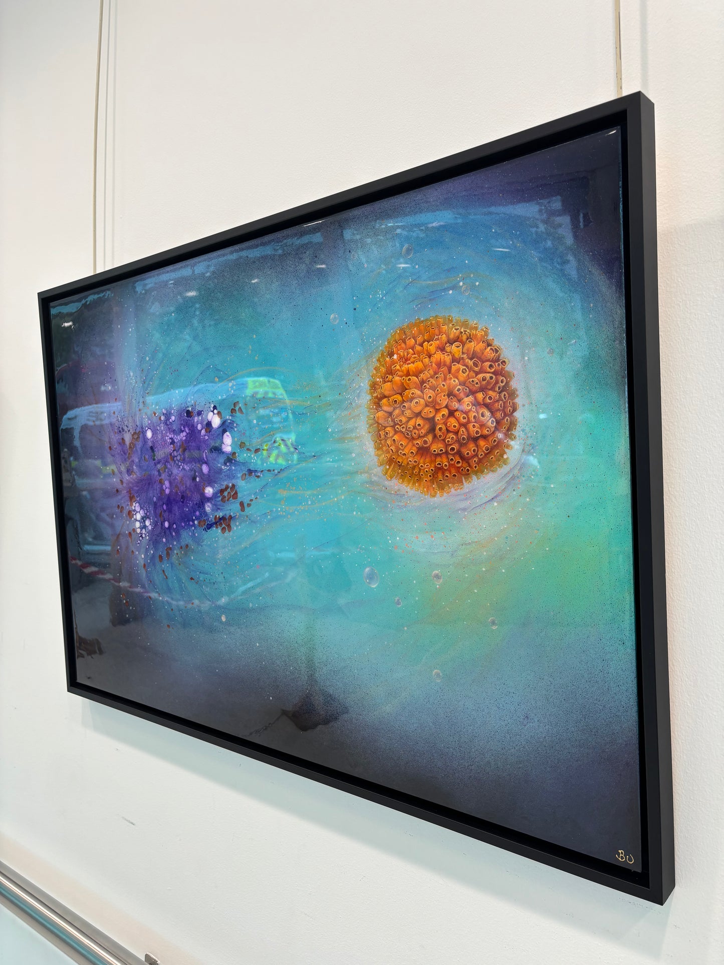 Hidden Beauty Limited Edition Prints