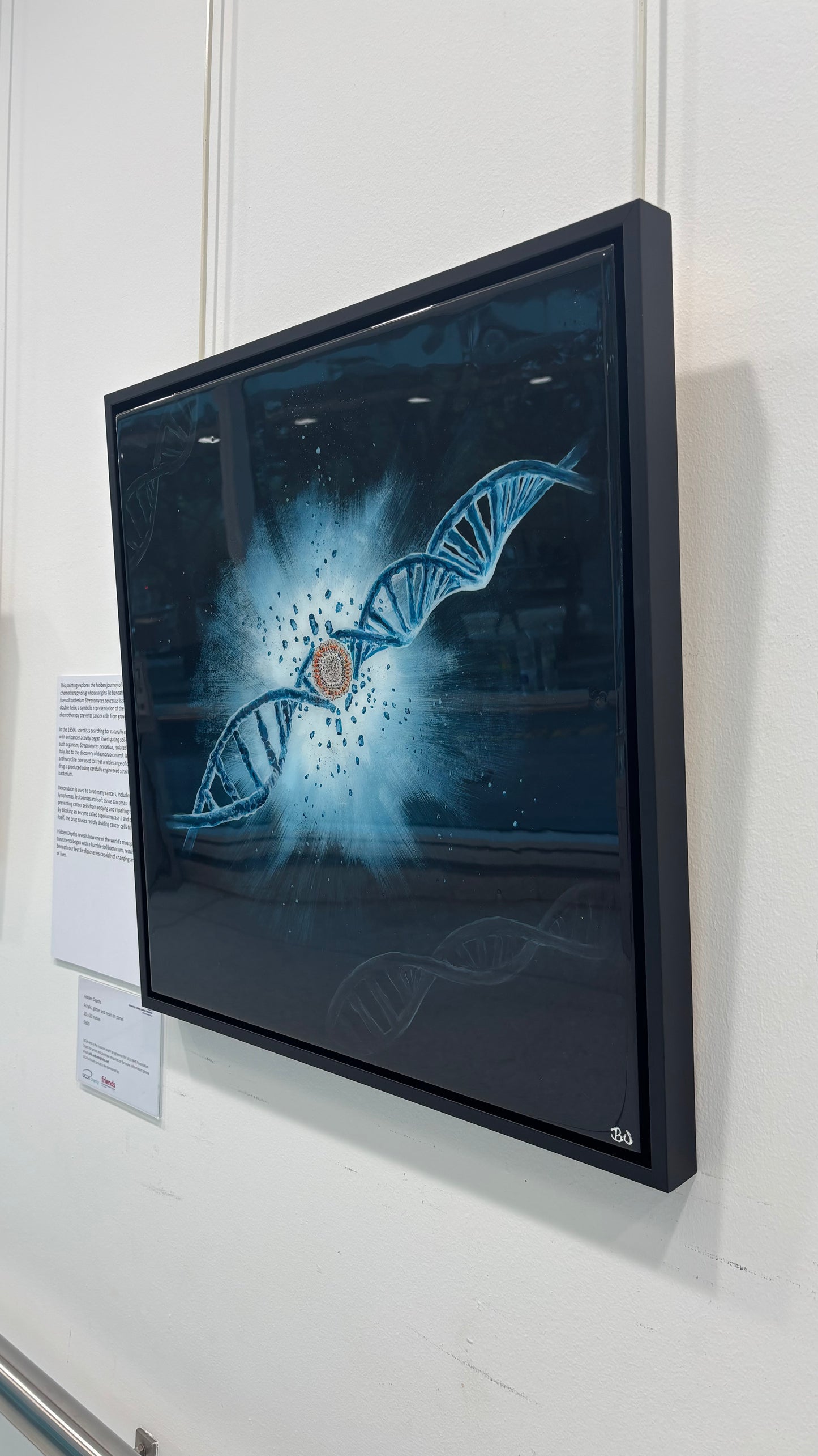 Hidden Depths Limited Edition Prints