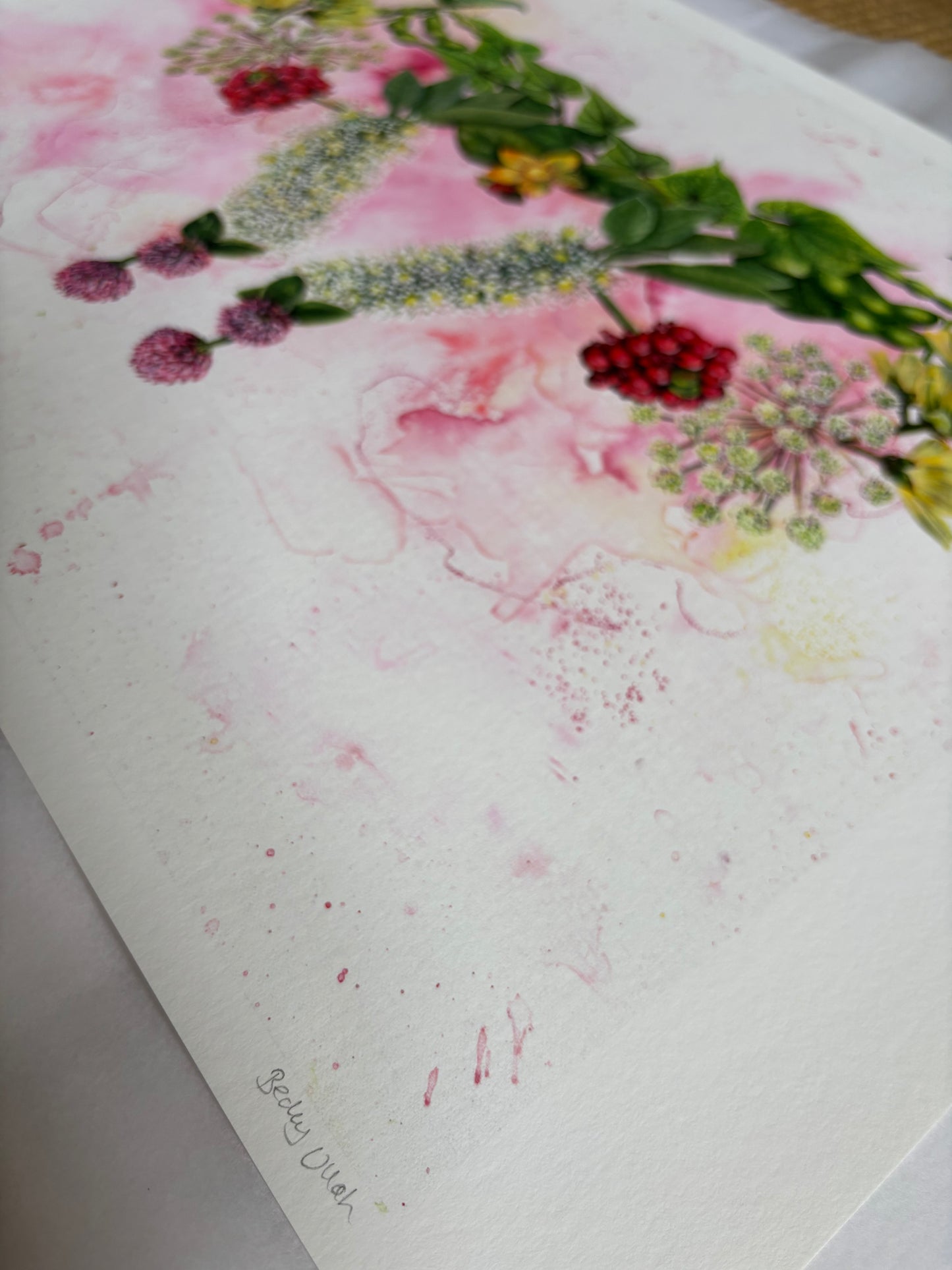 Mater Medica Limited Edition Prints