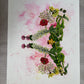 Mater Medica Limited Edition Prints