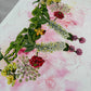 Mater Medica Limited Edition Prints