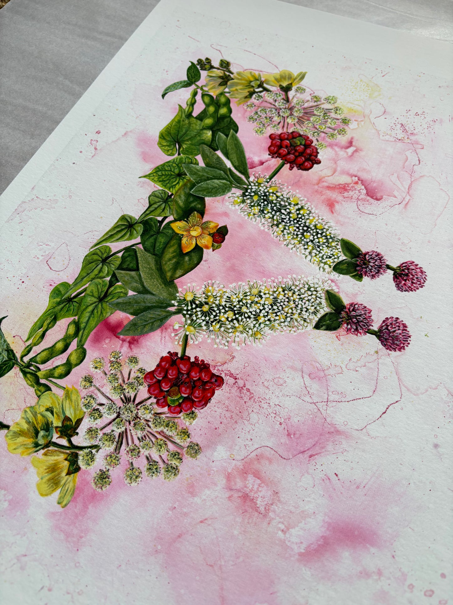 Mater Medica Limited Edition Prints