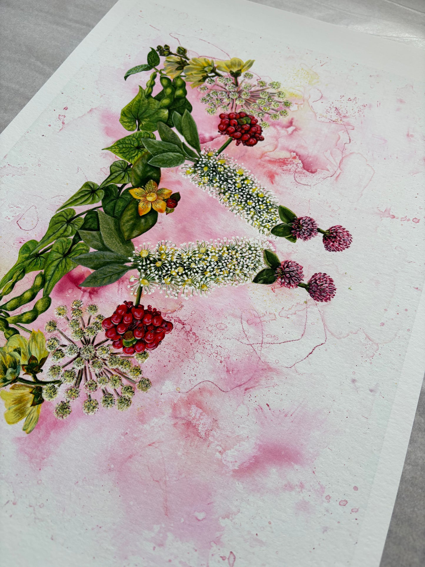 Mater Medica Limited Edition Prints