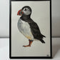 Puffin Original Watercolour and Pen