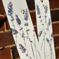 Bookmarks