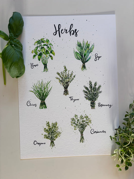 Herb poster with annotations