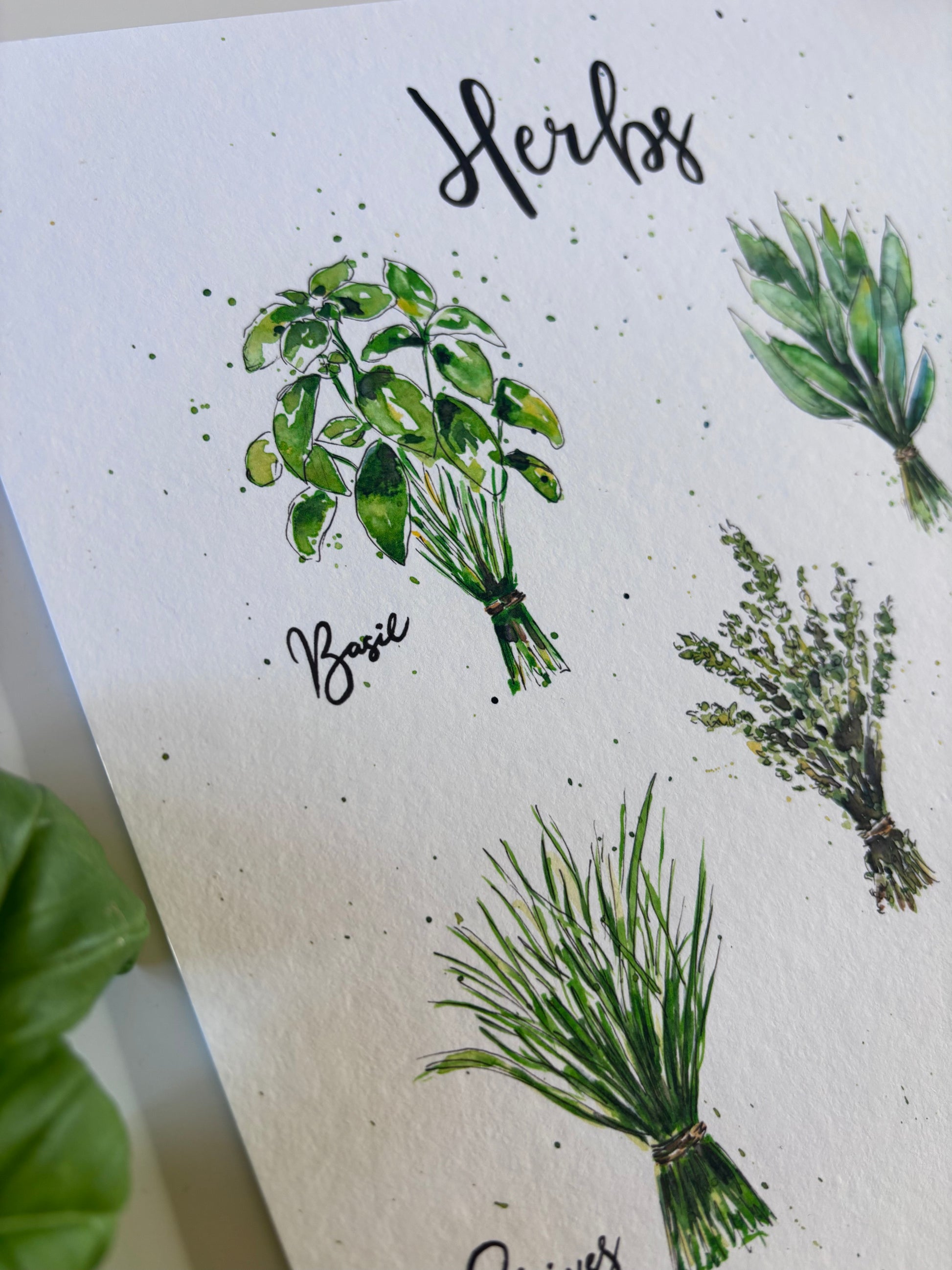 Illustrations of basil and other herbs on a textured paper background