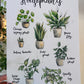 
Fine art print of watercolour and ink illustrations of favourite houseplants. A4 being held iin a hand.