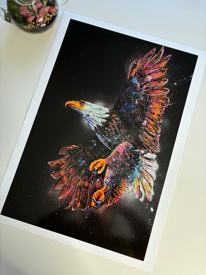 Soar Limited Edition Prints