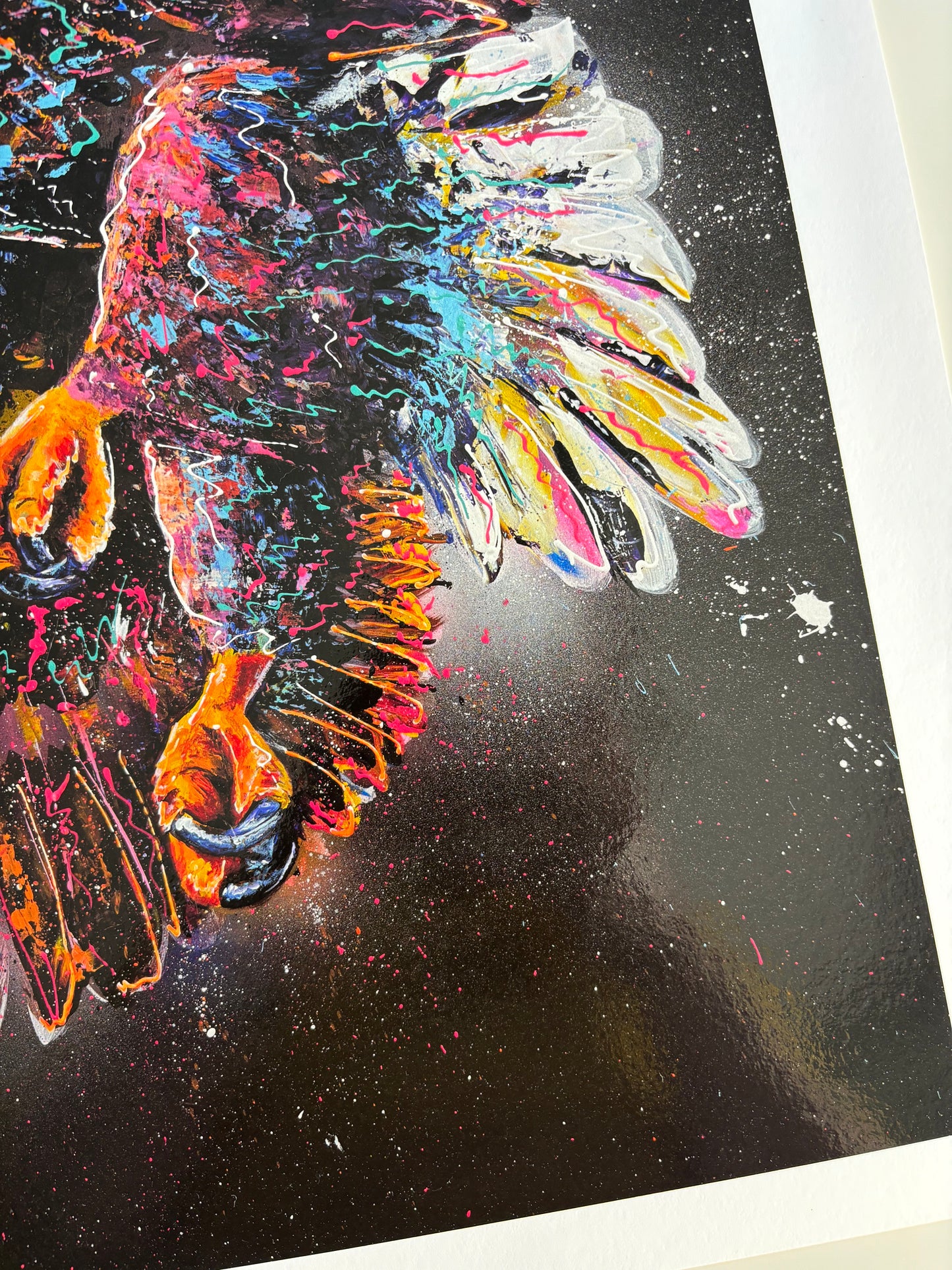 Soar Limited Edition Prints