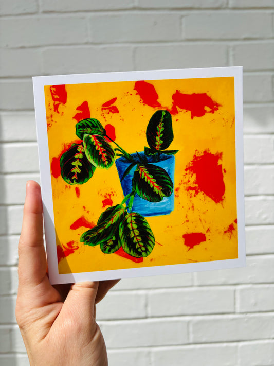 Greetings Card - Prayer Plant