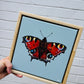 Hitchin original artwork peacock butterfly affordable mini pine frame soft pastel blue background country chic