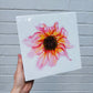 Dahlia Glow